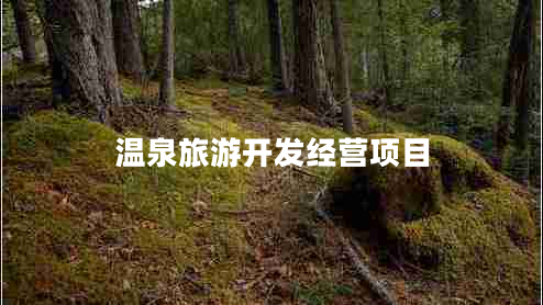 溫泉旅游開(kāi)發(fā)經(jīng)營(yíng)項目