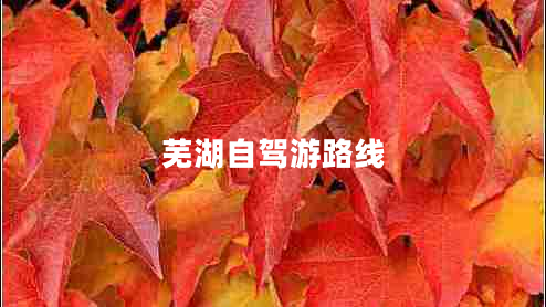 蕪湖自駕游路線(xiàn)