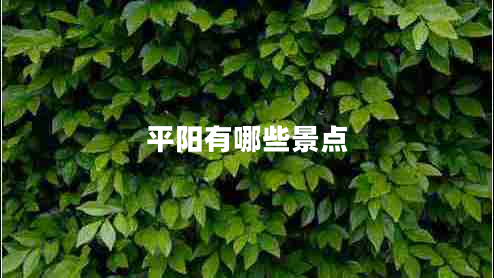 平陽(yáng)有哪些景點(diǎn)