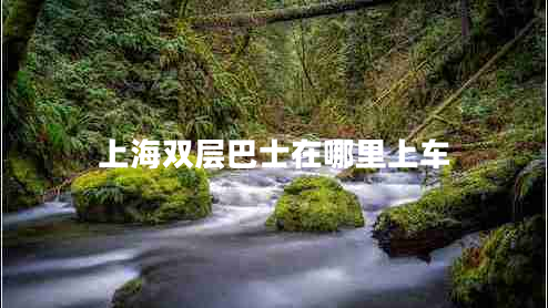 上海雙層巴士在哪里上車(chē)