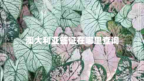 澳大利亞簽證在哪里查詢(xún)