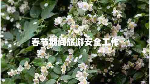 春節期間旅游安全工作