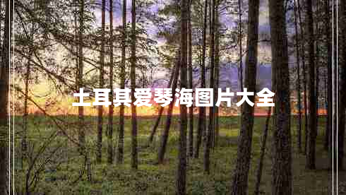 土耳其愛(ài)琴海圖片大全
