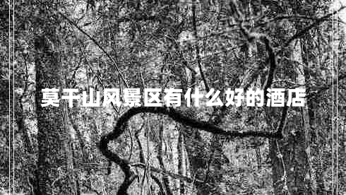 莫干山風景區(qū)有什么好的酒店