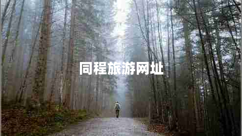 同程旅游網(wǎng)址