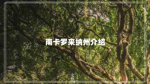 南卡羅來納州介紹