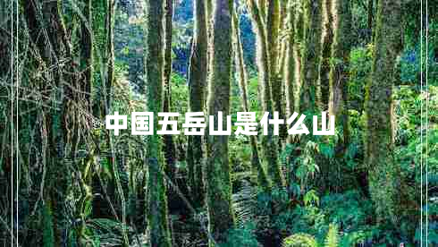 中國五岳山是什么山