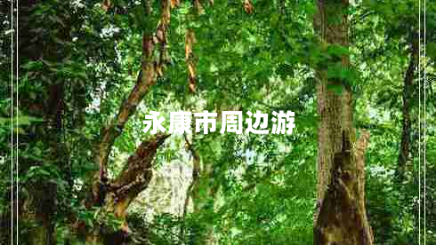 永康市周邊游