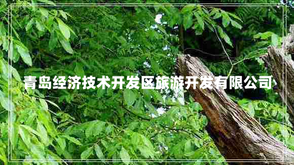 青島經(jīng)濟技術(shù)開(kāi)發(fā)區旅游開(kāi)發(fā)有限公司