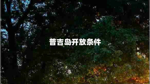 普吉島開(kāi)放條件