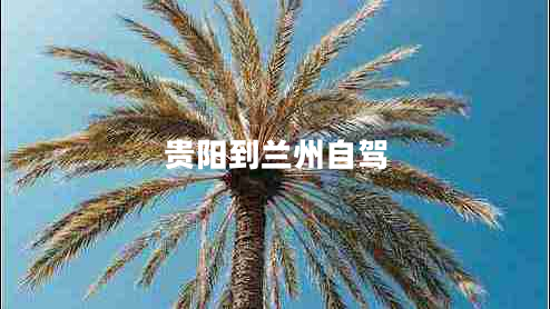 貴陽(yáng)到蘭州自駕