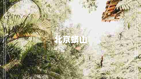 北京蟒山