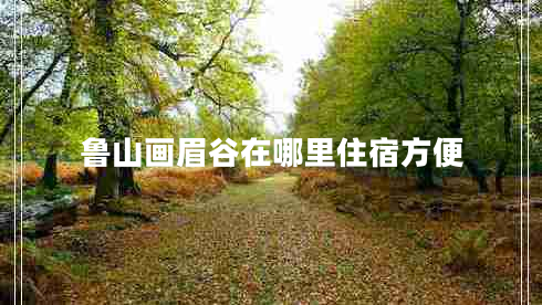 魯山畫(huà)眉谷在哪里住宿方便