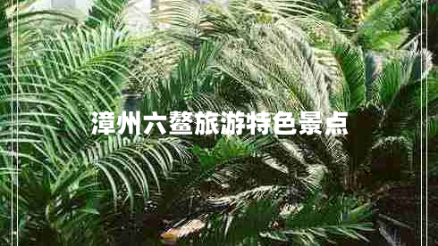 漳州六鰲旅游特色景點(diǎn)