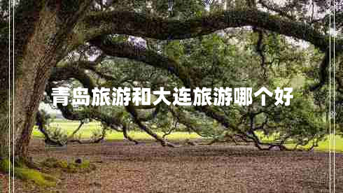 青島旅游和大連旅游哪個(gè)好