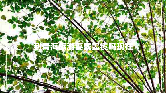 到青海旅游要戴墨鏡嗎現在