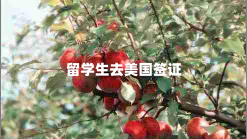 留學(xué)生去美國簽證