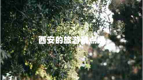 西安的旅游景點(diǎn)是