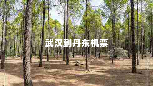 武漢到丹東機票