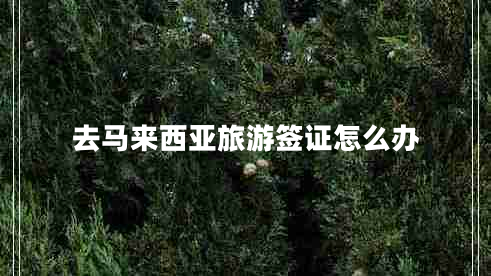 去馬來(lái)西亞旅游簽證怎么辦