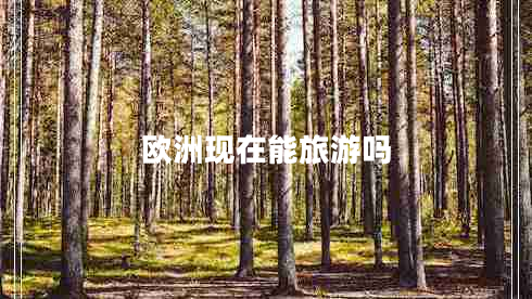 歐洲現在能旅游嗎