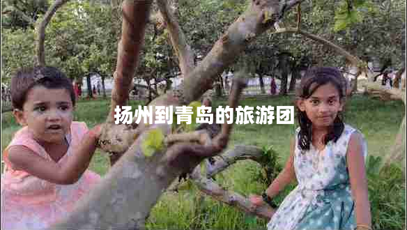 揚州到青島的旅游團