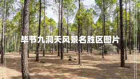 畢節九洞天風(fēng)景名勝區圖片