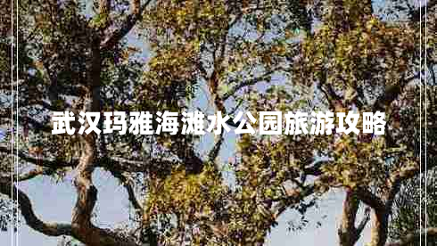 武漢瑪雅海灘水公園旅游攻略