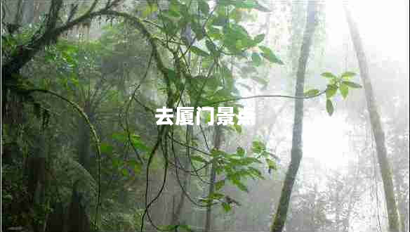 去廈門(mén)景點(diǎn)