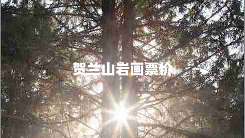 賀蘭山巖畫(huà)票價(jià)