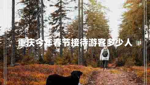 重慶今年春節接待游客多少人