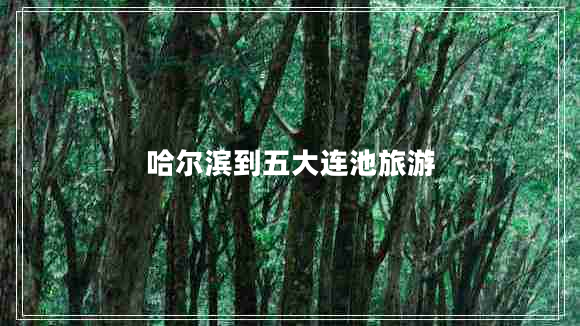 哈爾濱到五大連池旅游