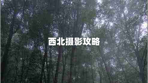 西北攝影攻略