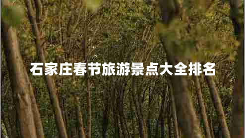 石家莊春節旅游景點(diǎn)大全排名