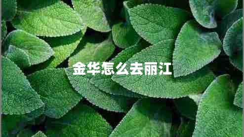 金華怎么去麗江