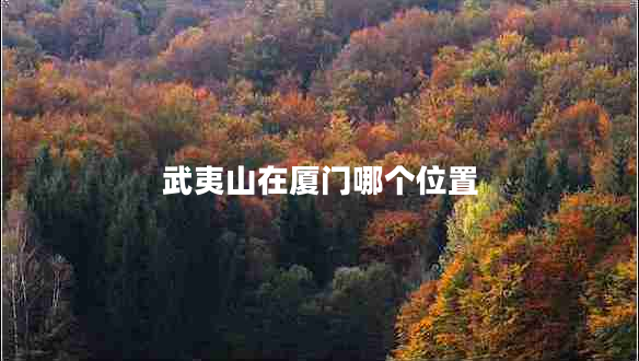 武夷山在廈門(mén)哪個(gè)位置