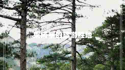 柬埔寨的旅游勝地