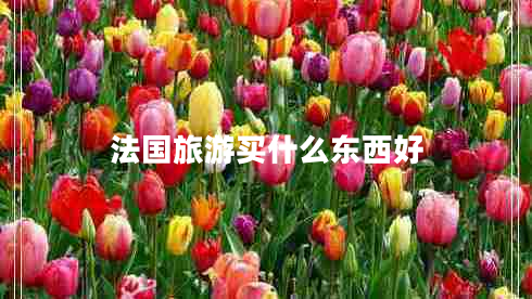 法國旅游買(mǎi)什么東西好