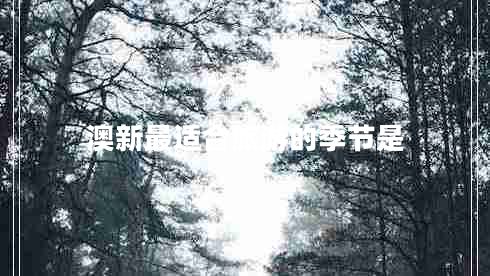 澳新最適合旅游的季節是