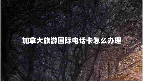 加拿大旅游國際電話(huà)卡怎么辦理