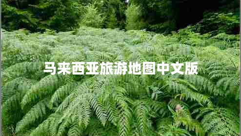馬來(lái)西亞旅游地圖中文版