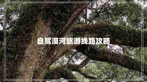 自駕漠河旅游線(xiàn)路攻略