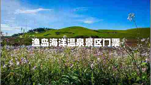 漁島海洋溫泉景區門(mén)票
