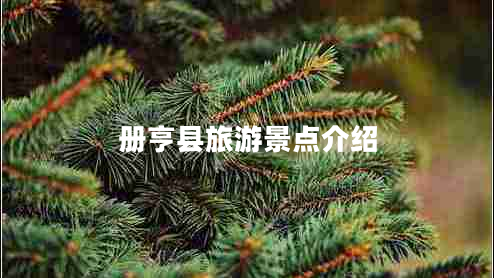 冊亨縣旅游景點(diǎn)介紹