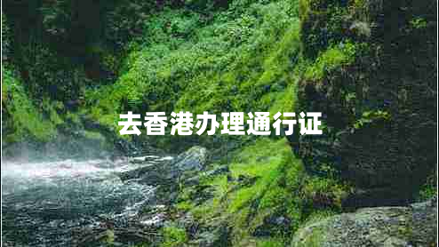 去香港辦理通行證
