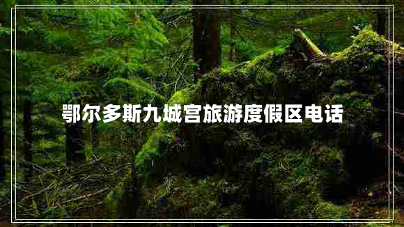 鄂爾多斯九城宮旅游度假區電話(huà)