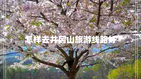 怎樣去井岡山旅游線(xiàn)路好