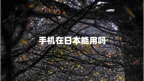 手機在日本能用嗎