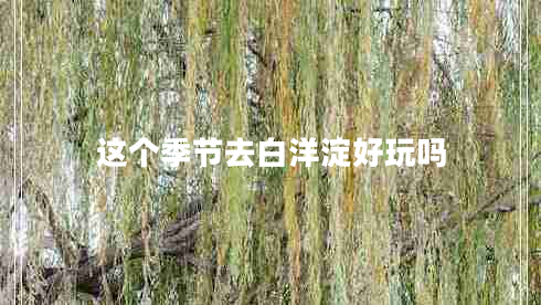 這個(gè)季節去白洋淀好玩嗎