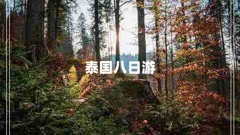 泰國八日游